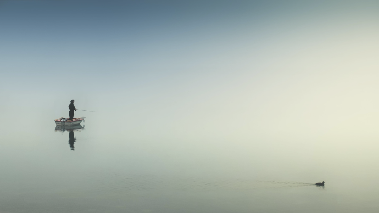 What makes a productive lake?