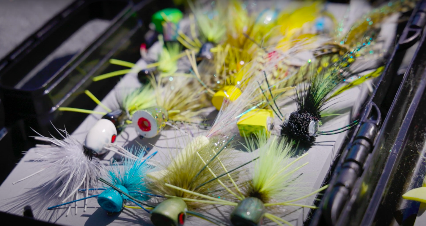 Jeff Liskay Fishing Class