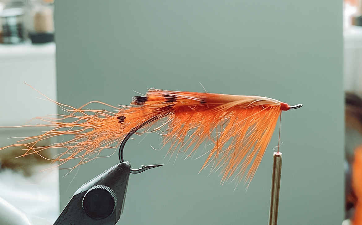 general_practitioner_fly_tutorial