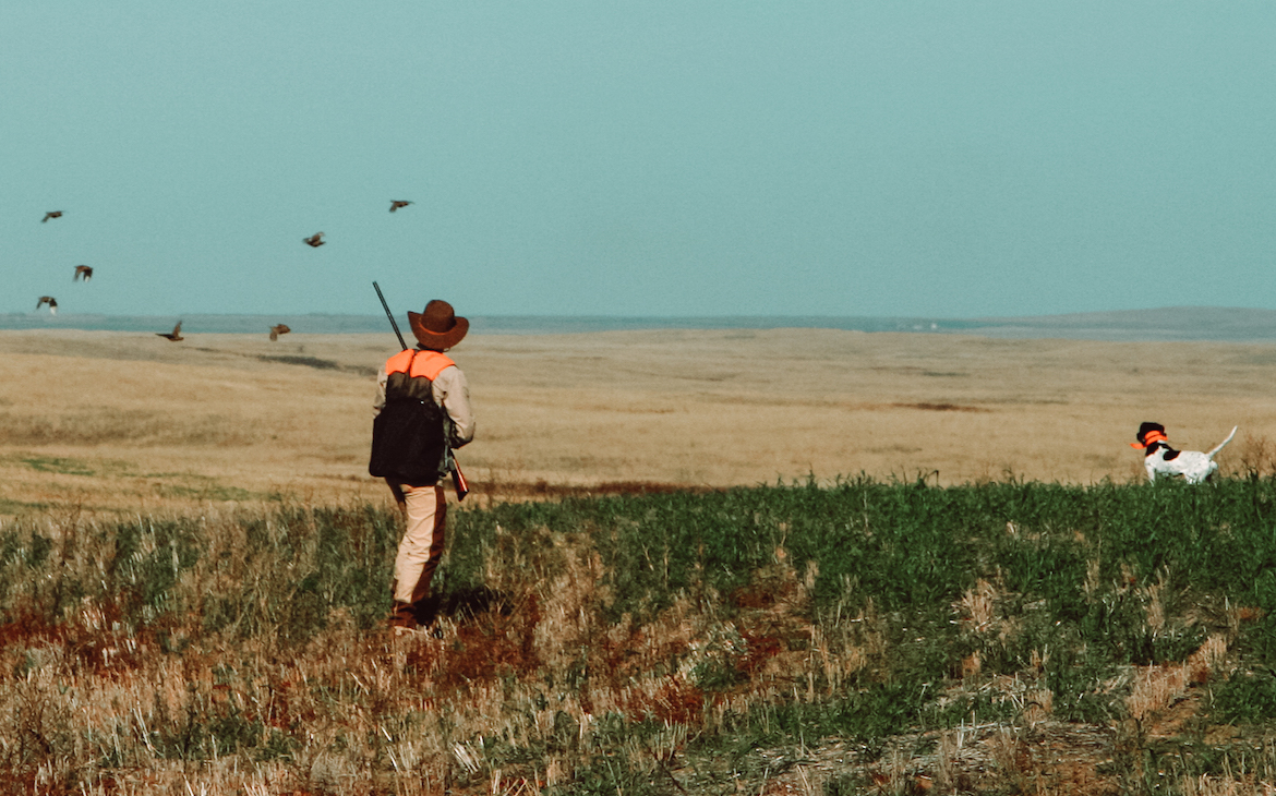 jim_mclennan_hunting_gamebirds