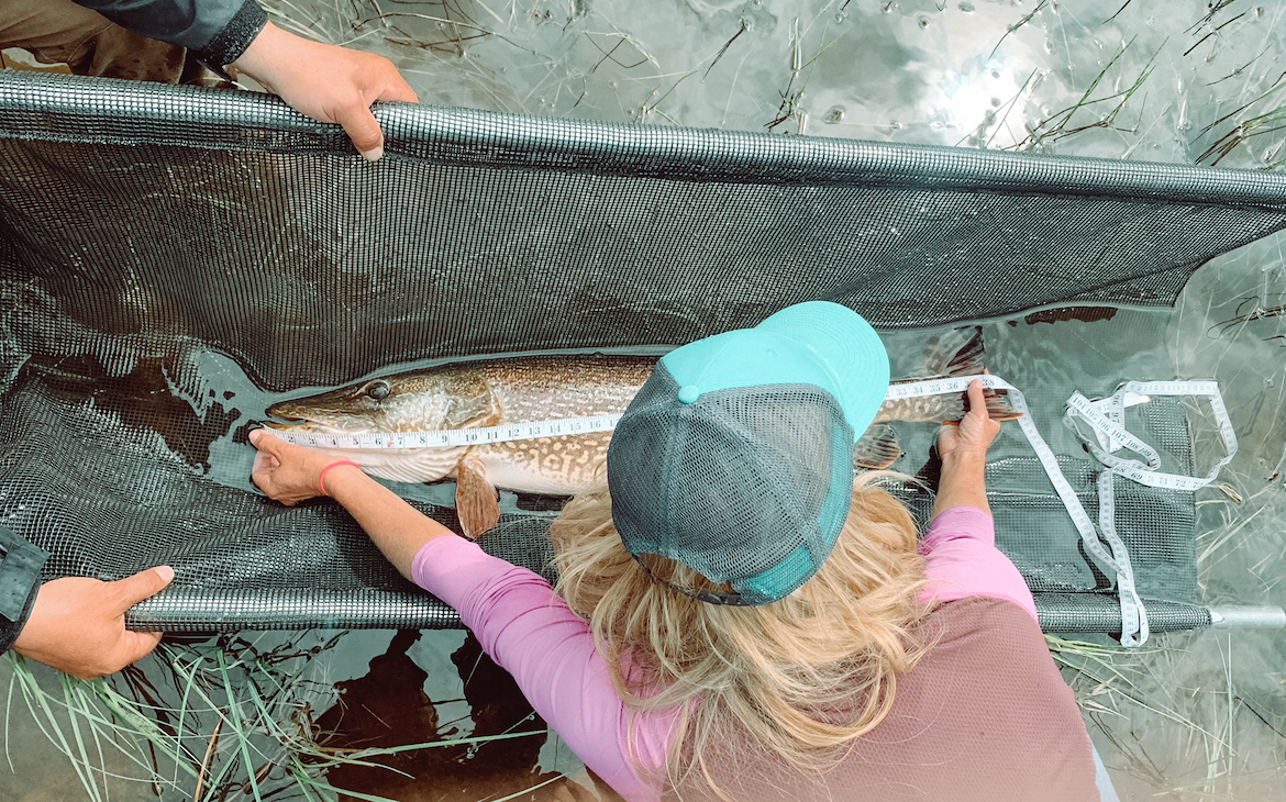 Meredith McCord World Record Chaser
