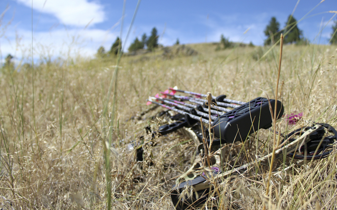 should_i_buy_a_used_or_new_bow