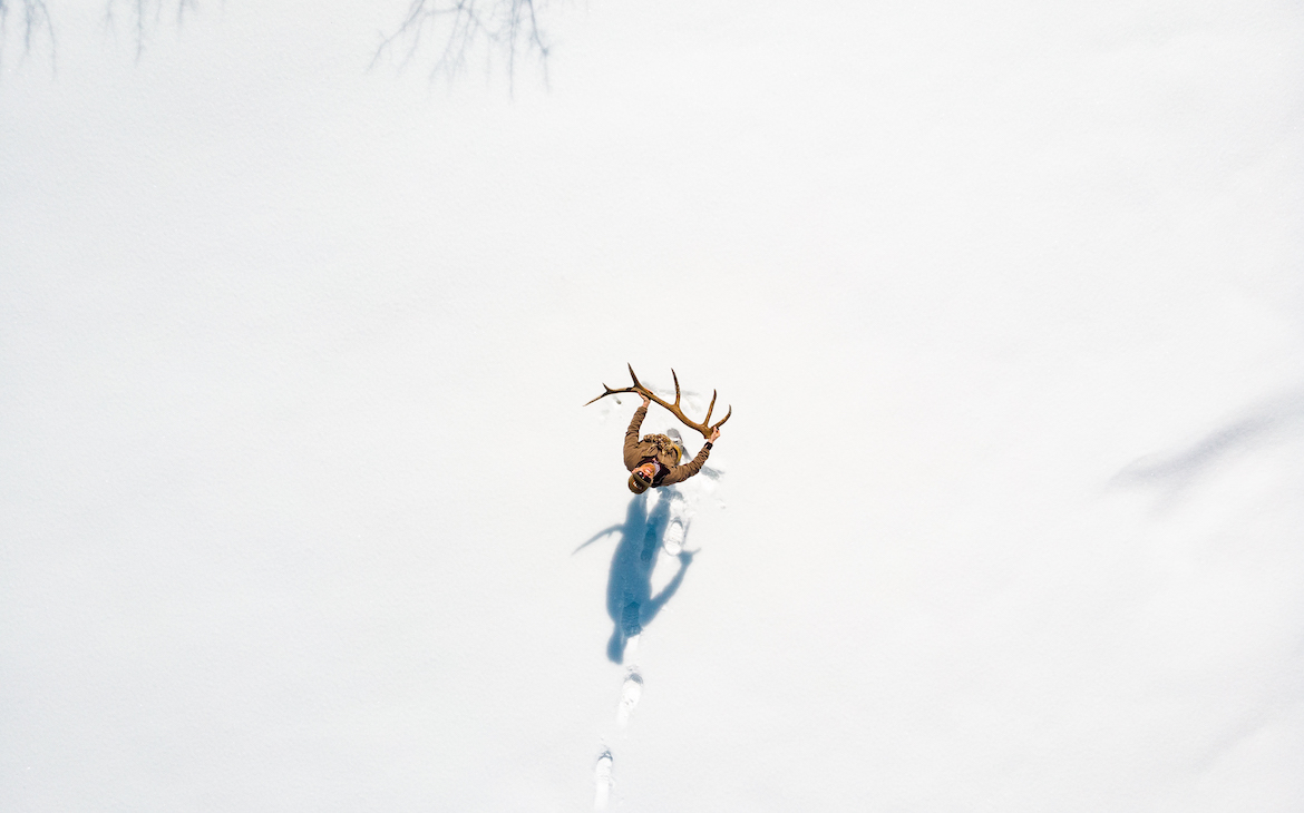 Shed Hunting, how to find antlers