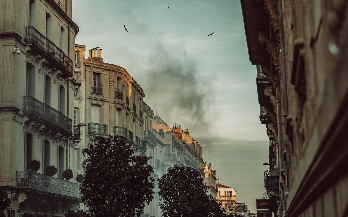urban_survival_tom_brown