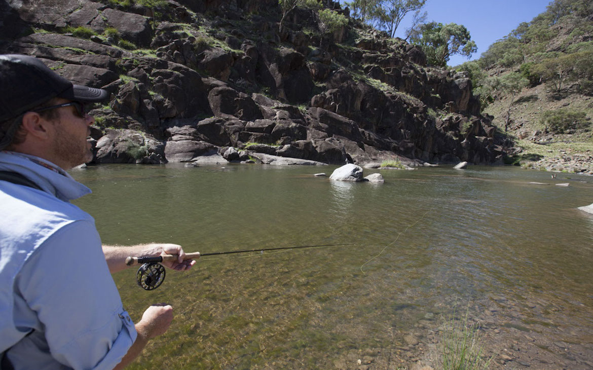 fly_fishing_for_spooky_carp