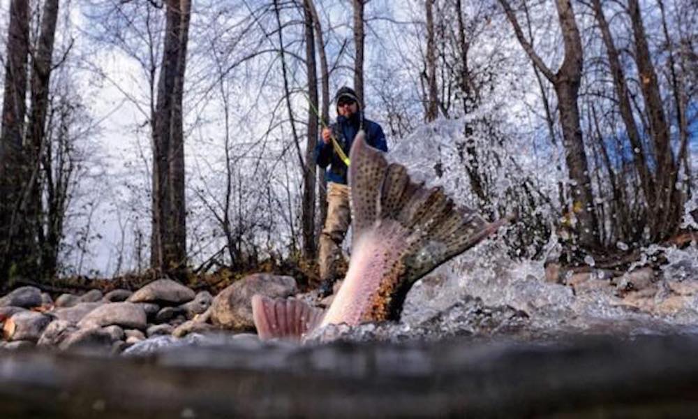 Dylan Tomine On Wild Steelhead