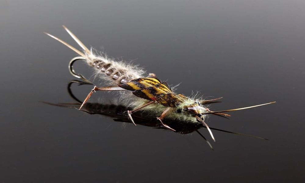 Ted Niemeyer On Natural Fly Patterns